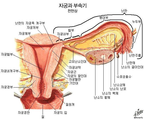 명기] 남자는 이런 여자를 명기라고 부른다. : 네이버 블로그