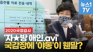영상] '자☆방 애인.Avi'...국감장에 '야동'이 웬말? - 뉴스1